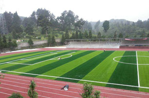 如何處理草中的異物?